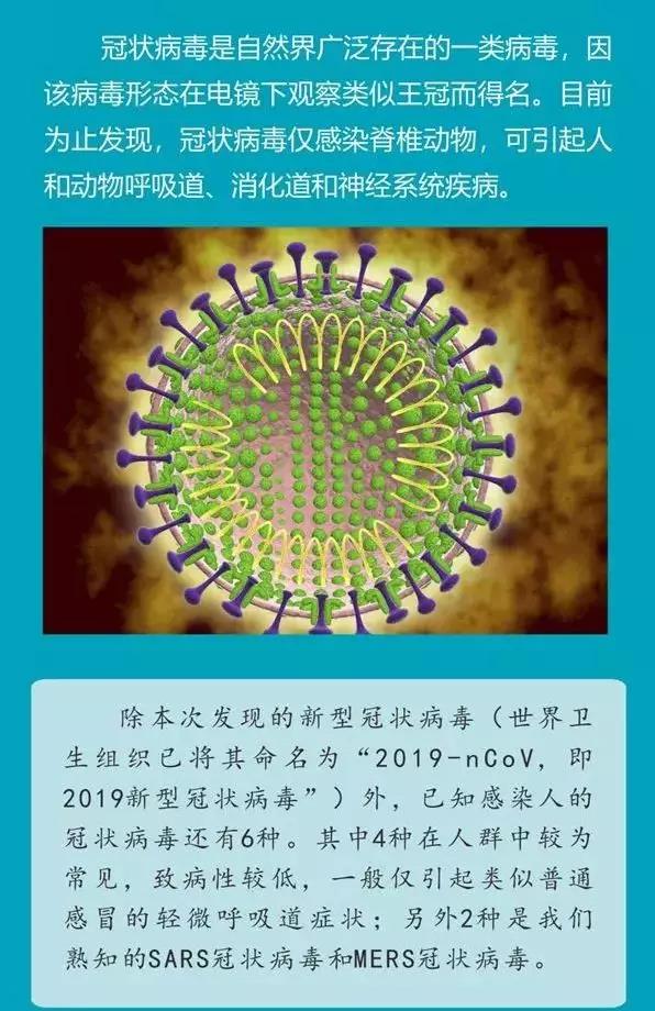 微信圖片_20200121164846.jpg 微信圖片_20200121164846.jpg